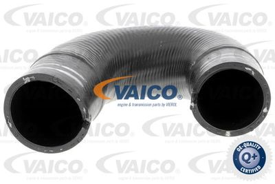Трубка нагнетаемого воздуха VAICO V24-0804 для FIAT ALBEA