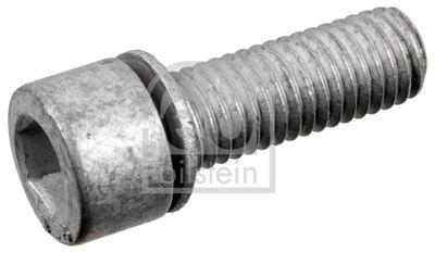 Screw Plug, axle drive FEBI BILSTEIN 177755