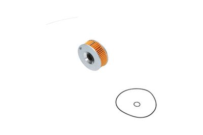 Kavo Parts Alyvos filtras