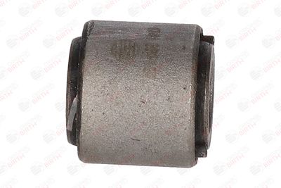 BUCSA ARBORE DE DIRECTIE BIRTH 4741 7