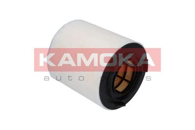 Air Filter F215301