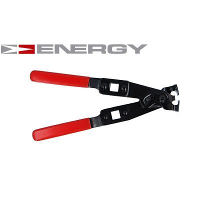 CLESTE COLIER FURTUNE ENERGY NE00327