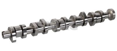 AX CU CAME SWAG 33103739 1