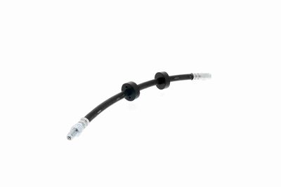 FURTUN FRANA VAICO V104123 8