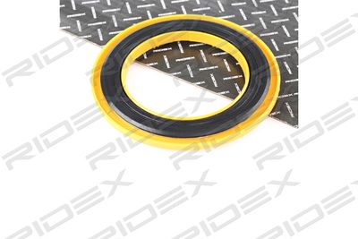 Łożysko walcowe, mocowanie amortyzatora RIDEX 1626F0036