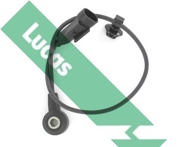 SENOR BATAI LUCAS SEB7755