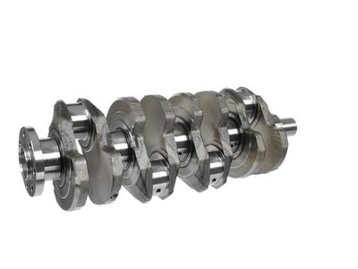 ARBORE COTIT ET ENGINETEAM HK0165 28