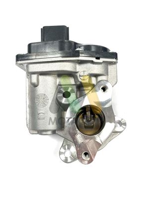 SUPAPA EGR MOTAQUIP LVER433 1