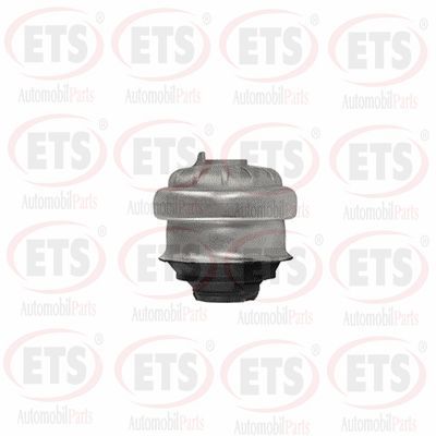 окачване, двигател ETS 15.EM.108