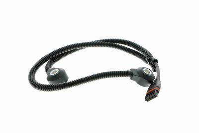 SENOR BATAI VEMO V20720073 9