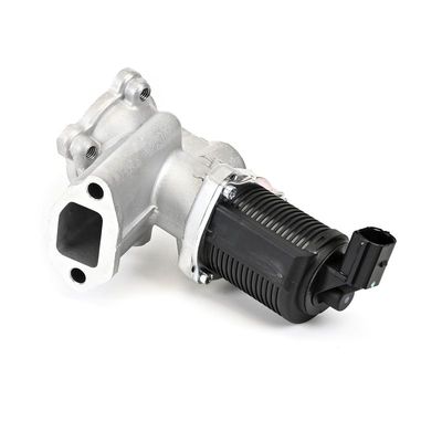 SUPAPA EGR DELPHI EG1064212B1 16