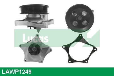 POMPă DE APă RăCIRE MOTOR