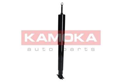 Shock Absorber 2000870