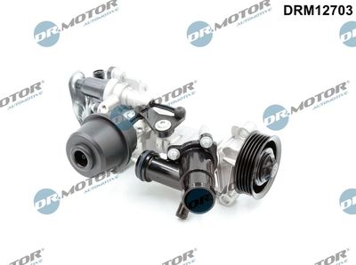Pompa wody, chłodzenie silnika DR.MOTOR AUTOMOTIVE DRM12703