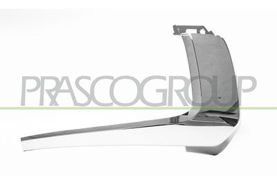 ZIER-/SCHUTZLEISTE STOßFäNGER