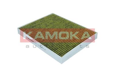 Filter, cabin air 6080031