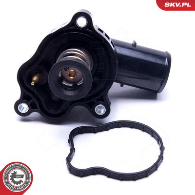 Termostatas, aušinimo skystis