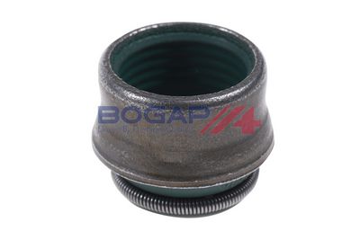 ETANSARE SUPAPE BOGAP A1343100 5