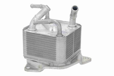 RADIATOR ULEI ULEI MOTOR ACKOJA A37600002 4