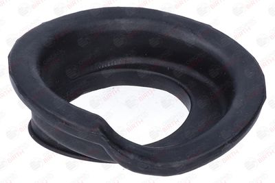 SAIBA ARC BIRTH 56745 11