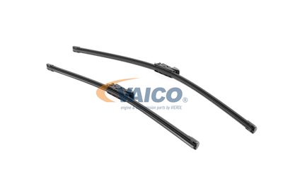 WISCHBLATT VAICO V990107 19