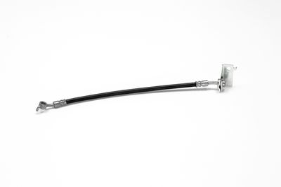 FURTUN FRANA ATE 24529603933 25