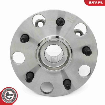 SET RULMENT ROATA ESEN SKV 29SKV660 3