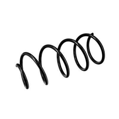 ARC SPIRAL EIBACH R10630 5