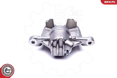 Brake Caliper 46SKV531