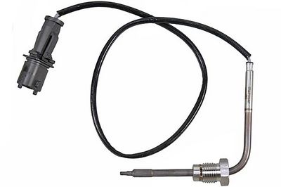 Sensor, Abgastemperatur
