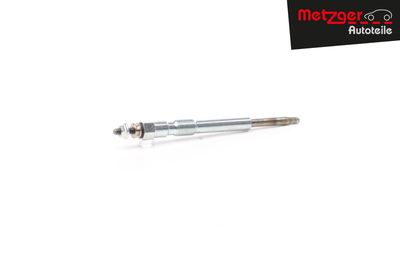 BUJIE INCANDESCENTA METZGER AUTOTEILE H1693 17