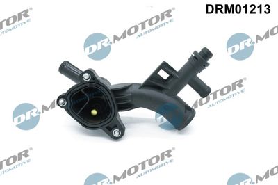 Coolant Flange DRM01213