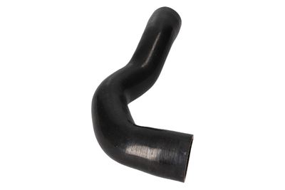 FURTUN EAR SUPRAALIMENTARE BIRTH 55646 10