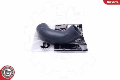 FURTUN EAR SUPRAALIMENTARE