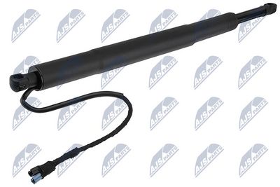 Galinių durų elektros variklis