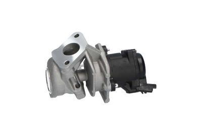 SUPAPA EGR Kavo Parts EEG9004 15