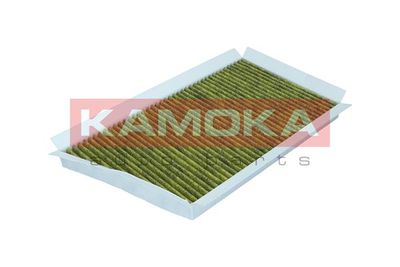 Filter, cabin air 6080012