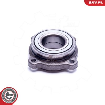 SET RULMENT ROATA ESEN SKV 29SKV442 3