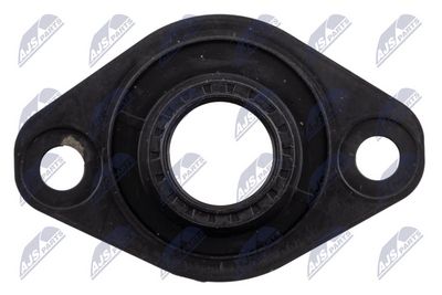 CAPAC INJECTOR NTY BWPPL002A 4