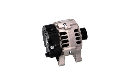 GENERATOR / ALTERNATOR REMANTE 011003000534R 42