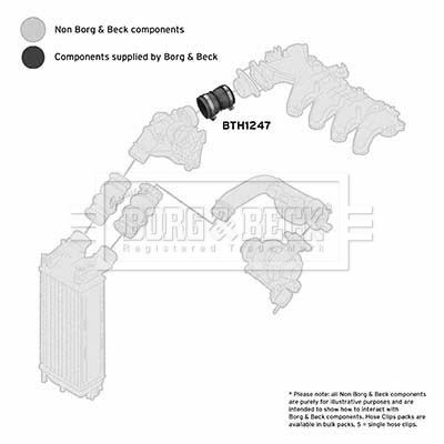 Charge Air Hose Borg & Beck BTH1247