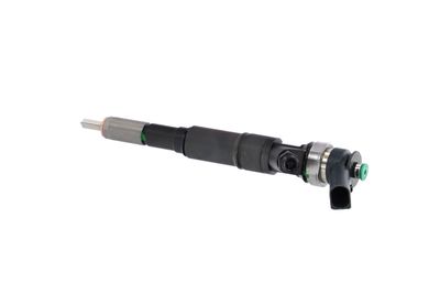 INJECTOR REMANTE 002003001184R 17