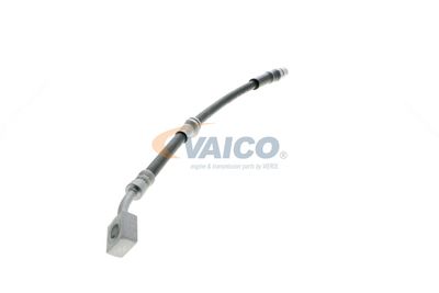 FURTUN FRANA VAICO V404110 55