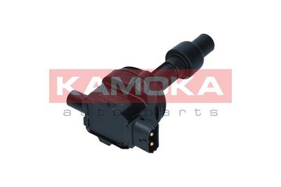 Ignition Coil 7120037