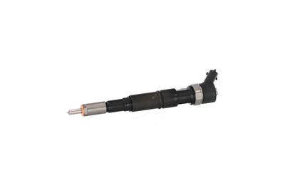 INJECTOR REMANTE 002003001174R 6