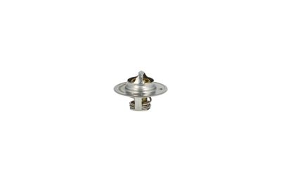 TERMOSTAT LICHID RACIRE NRF 725135 39