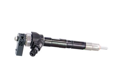 INJECTOR REMANTE 002003001752R 38