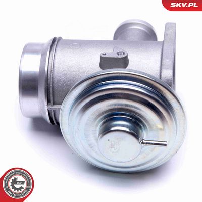 SUPAPA EGR ESEN SKV 14SKV176 4