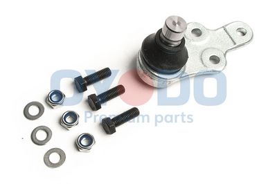 Šarnyras / girgždukas