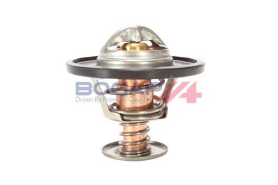 TERMOSTAT LICHID RACIRE BOGAP S4234103 1